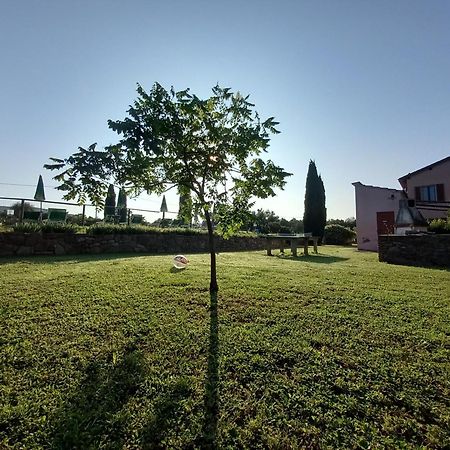 Podere S.Giulia - Casale S.Giulia Riotorto Extérieur photo